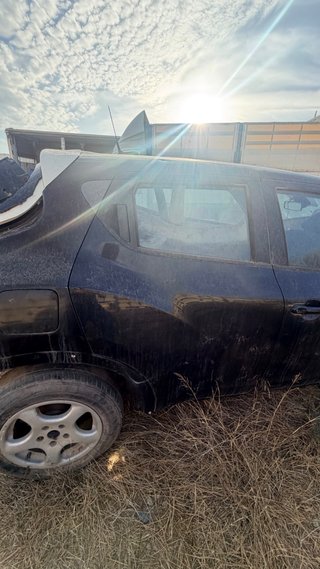 Puerta de Nissan juke