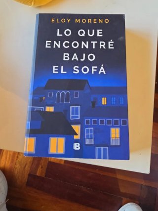 Lo que encontré bajo el sofá
