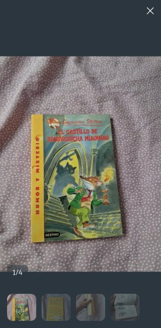 Libro geronimo stilton