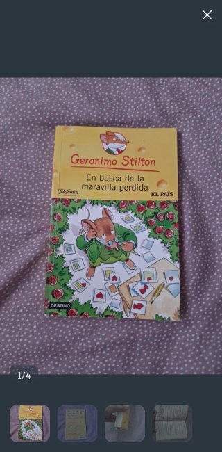 Libro geronimo