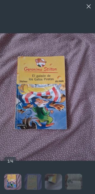 Libro geronimo