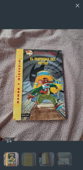 Libro geronimo