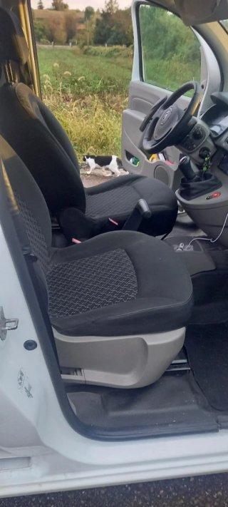 Renault Kangoo 2009