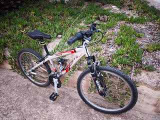 Bicicleta Junior Alutek de Aluminio