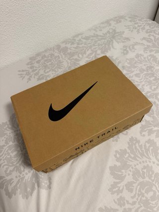 Nike Pegasus Trail 5 GTX