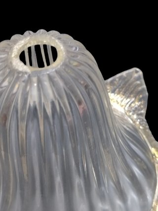 Ricambio tazza portalampada vetro