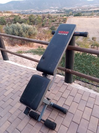 Banco de pesas Weider Pro 130