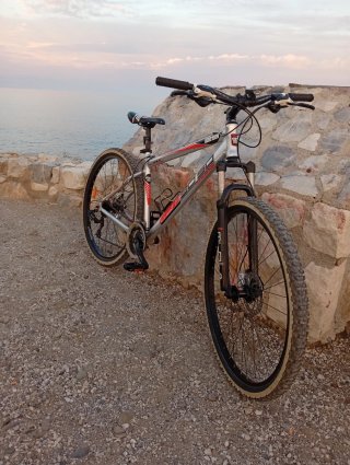 Bicicleta de montaña plateada