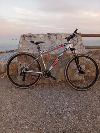 Bicicleta de montaña plateada