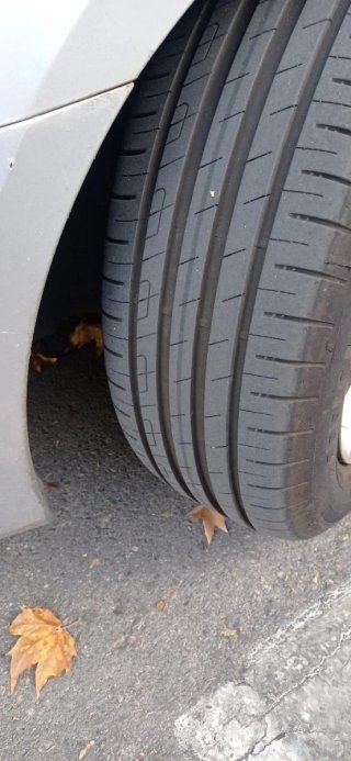 Neumáticos Goodyear EfficientGrip 205/55 R16 91H