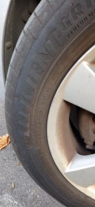 Neumáticos Goodyear EfficientGrip 205/55 R16 91H