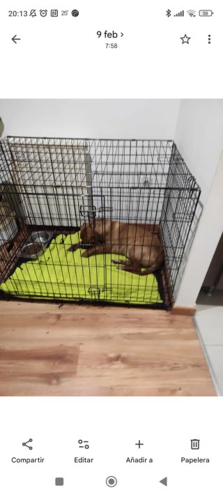 Jaula para Perros Outech Talla XL