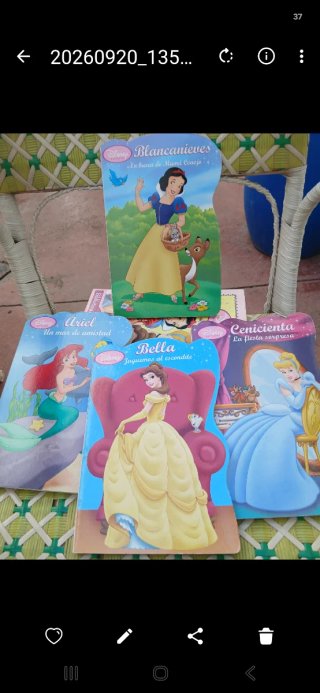 Lote de libros Disney