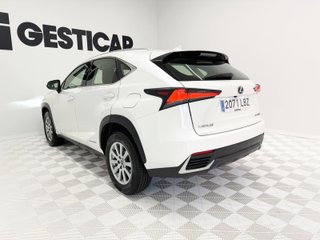 Lexus NX 300h Business Navigation 2WD 145 kW (197 CV)