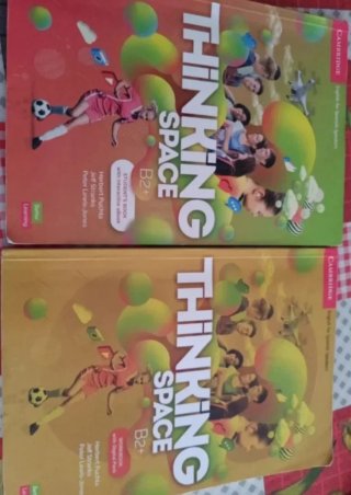 Thinking Space, B2+. Student's book with workbo...