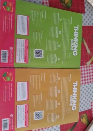 Thinking Space, B2+. Student's book with workbo...