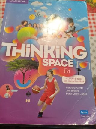 Thinking Space B1. Student's Book with Interact...
