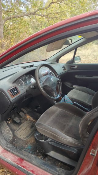 Peugeot 307 2002