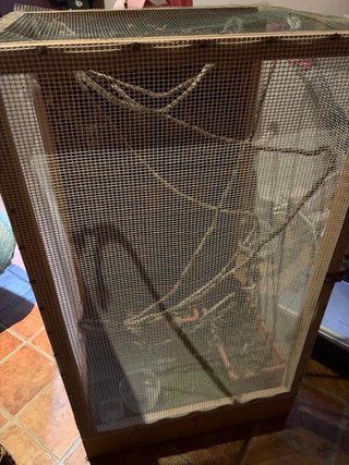 Terrario para reptiles