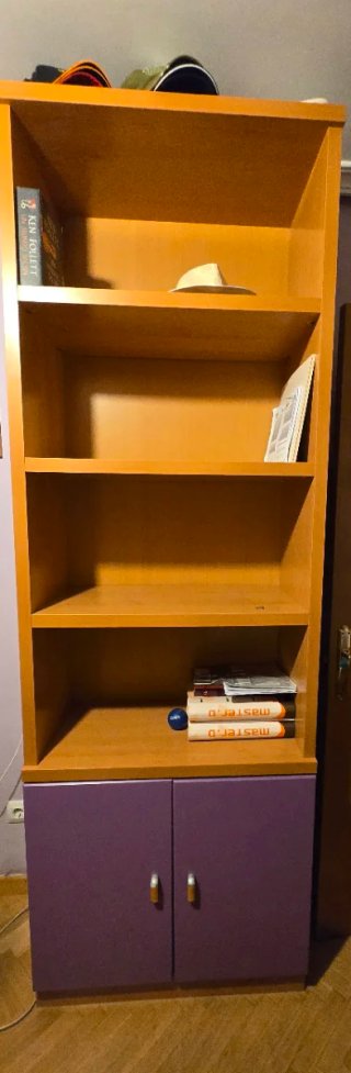 Litera abatible con armario adyacente y librería