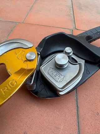 Petzl Rig