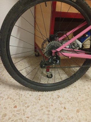 Bicicleta Montaña Rosa