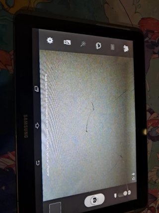 Samsung Galaxy Tab 2 10.1