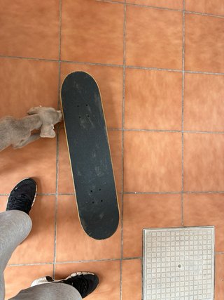 Skate Element poco uso