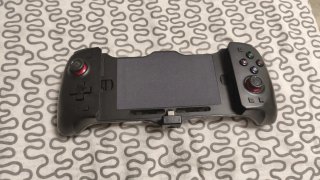 Control para Nintendo Switch y Switch OLED