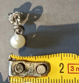 Pendientes de Plata con Perla
