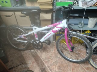 Bicicleta de Montaña 20 Pulgadas Denbike