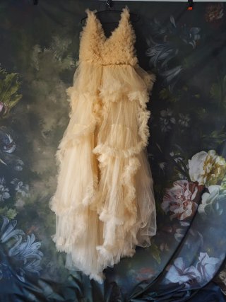 Vestido premamá fotografía tul beige