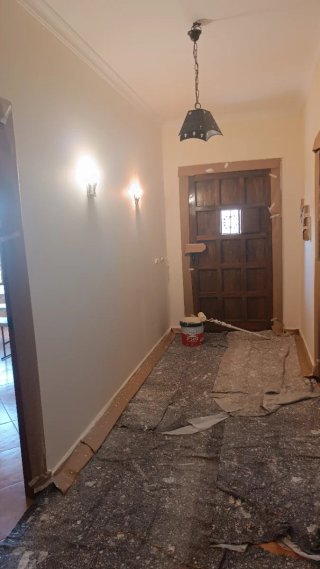 Servicio de pintura profesional