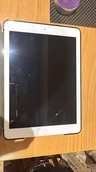 Apple iPad Plata