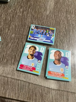 2 Cromos Mundial 2026 Akanji Rieder