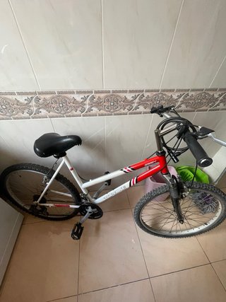 Bicicleta de Montaña Topbike