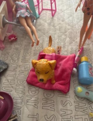 Set Barbie Veterinaria con Accesorios