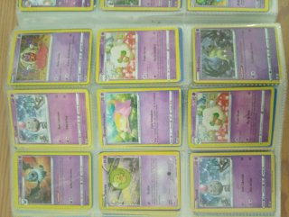 Cartas Pokémon Varias
