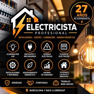 Electricista profesional · 27 años de experiencia
