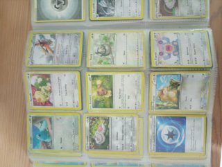Lote Cartas Pokémon