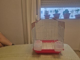 Jaula para pájaros con comederos