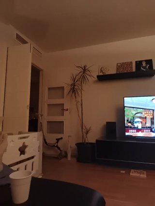 Planta de interior alta