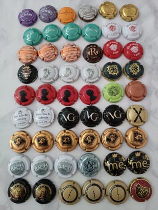 Colección de 48 chapas de cava