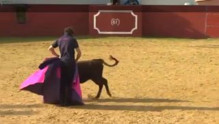 Capote de brega de Finito de Córdoba