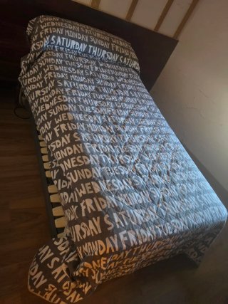 Cama hospitalaria ajustable
