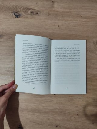 El diario de Miguel