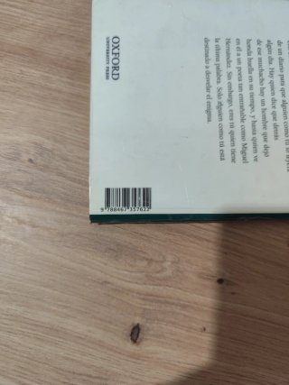 El diario de Miguel