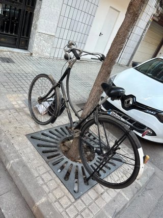 Bicicleta Holandesa BSP