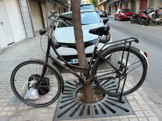 Bicicleta Holandesa BSP