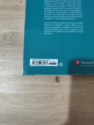 El licenciado Vidriera y otras novelas ejemplares